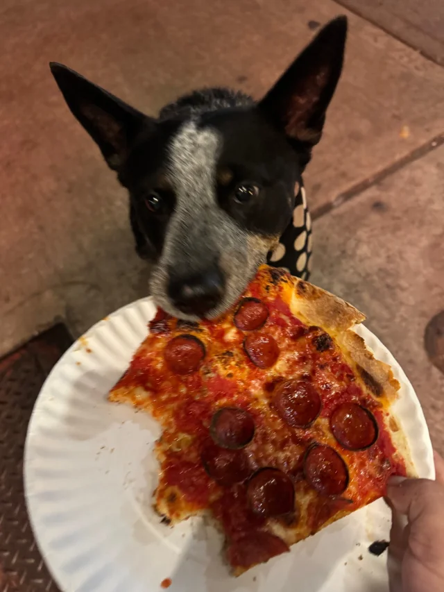 Eleanor turns ten