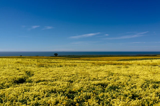 Cabrillo Highway