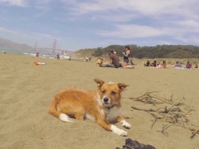 Charlie Browner | Baker Beach