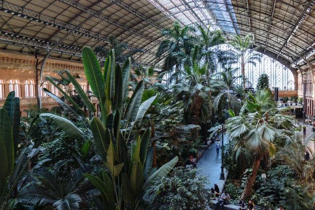 Madrid