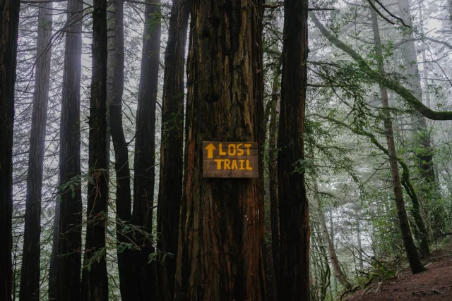 Muir Woods