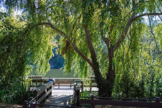 Temescal Park